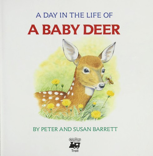 A day in the life of a baby deer