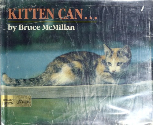Kitten can--