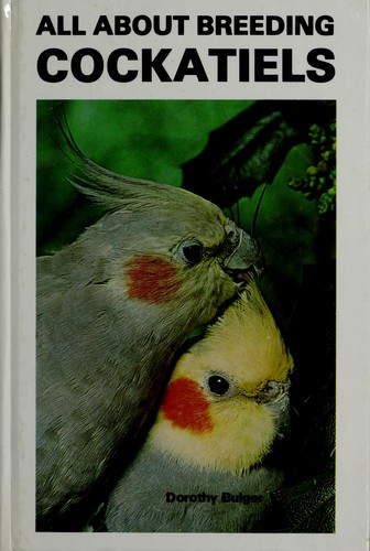 All about breeding cockatiels