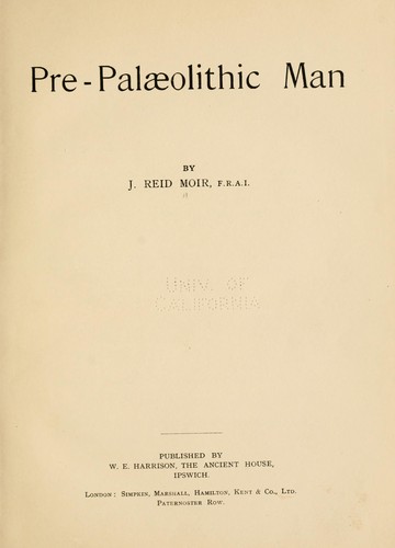 Pre-palaeolithic man