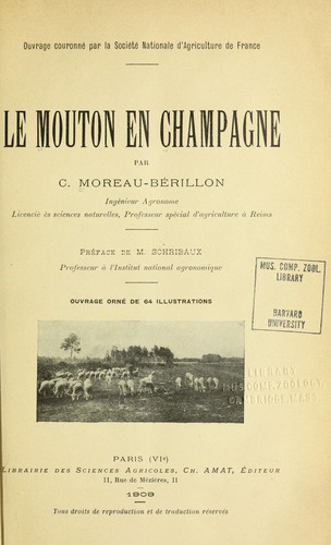 Le mouton en Champagne