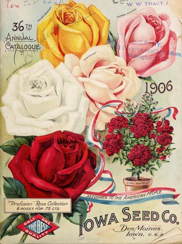 36th annual catalogue 1906