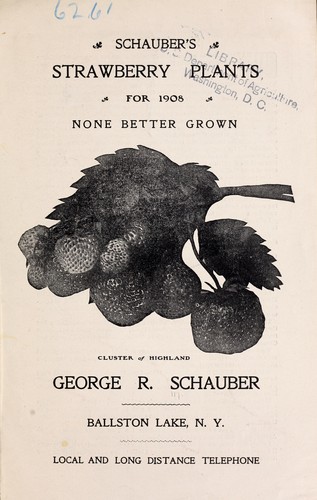 Schauber's strawberry plants for 1908