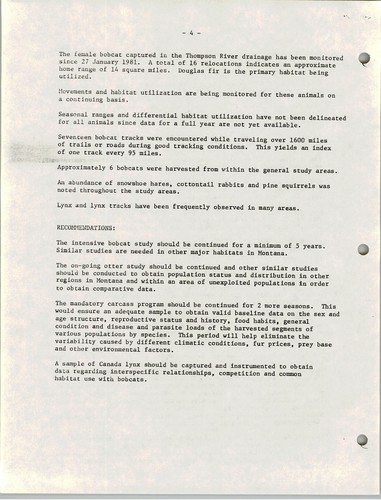 Ecology of the bobcat in a coniferous forest environment in western Montana