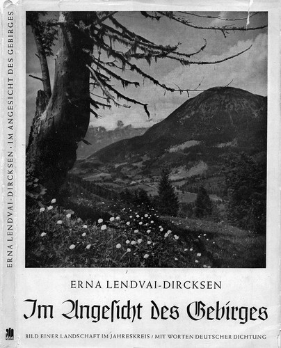 Im Angesicht des Gebirges