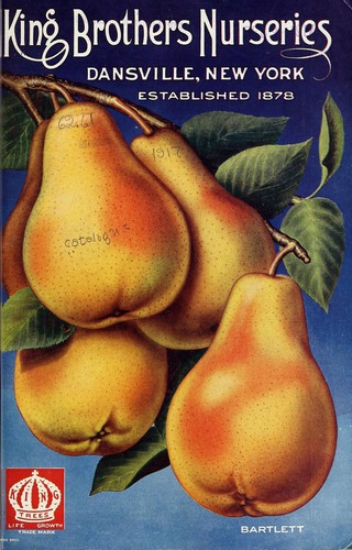 King Brothers Nurseries [catalog]