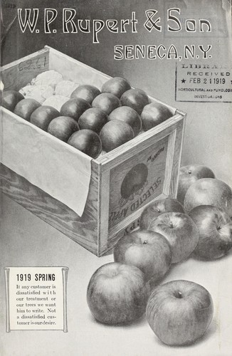 W.P. Rupert & Son [catalog]