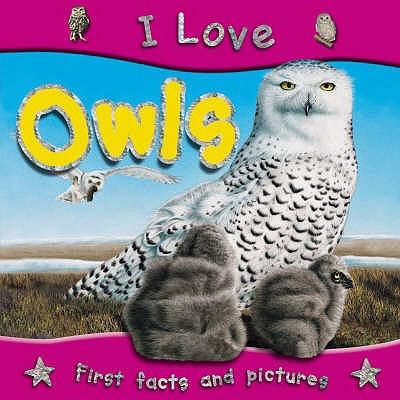 I Love Owls