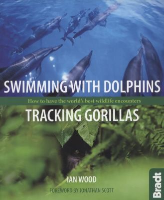 Swimming With Dolphins Tracking Gorillas How To Have The Worlds Best Wildlife Encounters