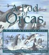 A Pod of Orcas