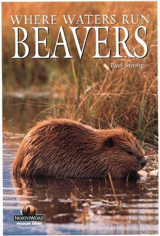 Beavers
