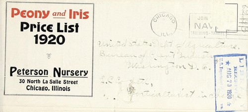 Peony and iris price list