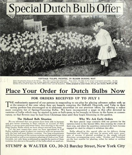 Special Dutch bulb offer