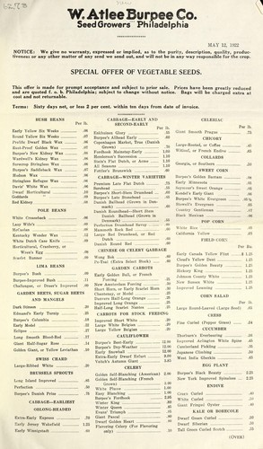 Special offer of vegetable seeds