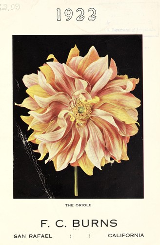 Dahlias, delphinium [catalog]