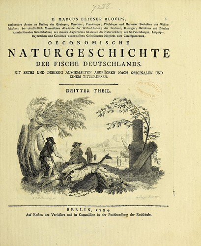 D. Marcus Elieser Bloch's, ausübenden Arztes zu Berlin ... Oeconomische Naturgeschichte der Fische Deutschlands ...