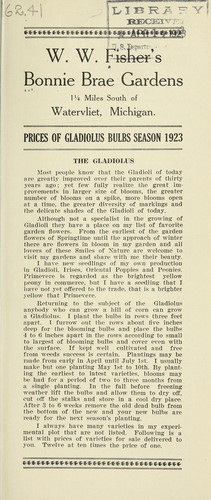 Prices of gladiolus bulbs