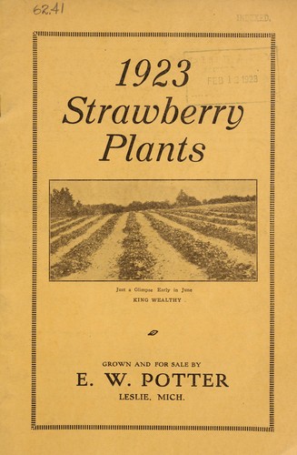 1923 strawberry plants