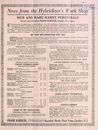 New and rare hardy perennials