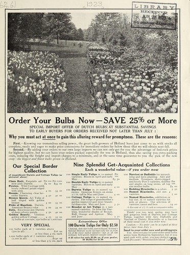 Order your bulbs now