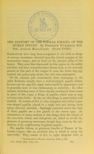 The anatomy of the papilla foliata of the human infant