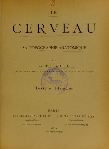 Le cerveau, sa topographie anatomique