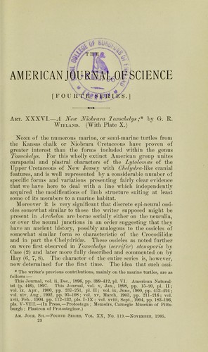 A new Niobrara toxochelys