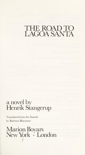 The road to Lagoa Santa : a novel