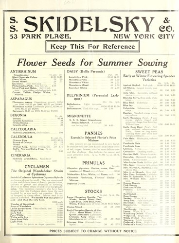 Flower seeds for summer sowing