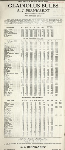 Gladiolus bulbs wholesale trade price list