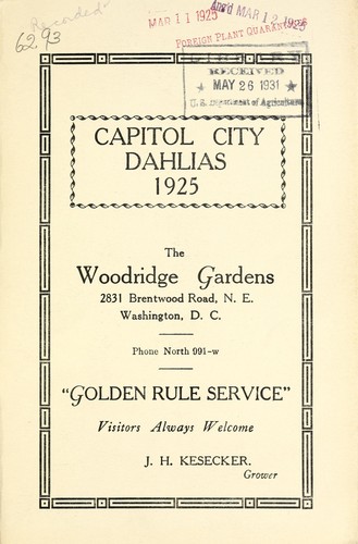 Capitol city dahlias