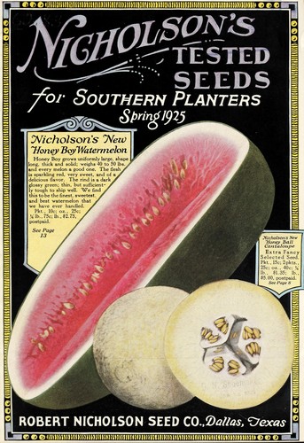Nicholson's tested seeds for southern planters