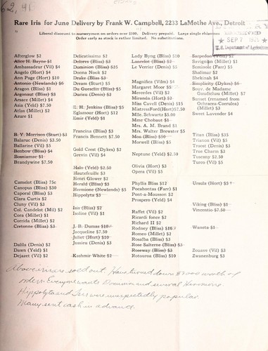 Rare iris for June delivery