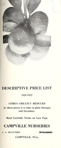 Wholesale re-cleaned grass and field seeds