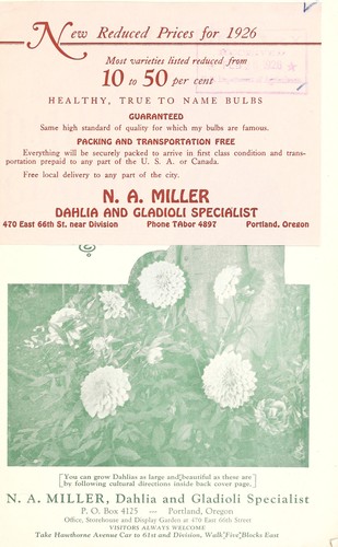 Miller's exquisite dahlias and gladioli [catalog]
