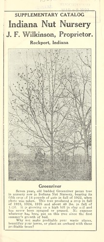 Supplementary catalog