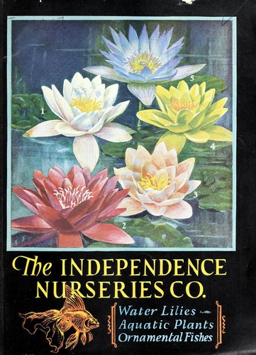 Water-lilies, aquatic plants, ornamental fishes