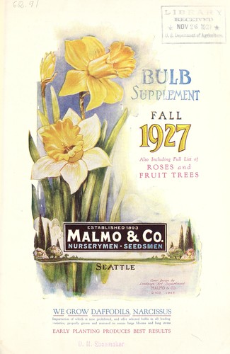 Bulb supplement