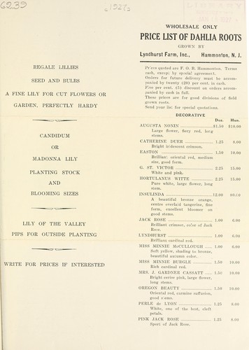 Price list of dahlia roots