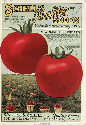 Schell's quality seeds