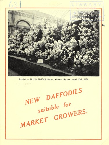 New daffodils suitable for market growers