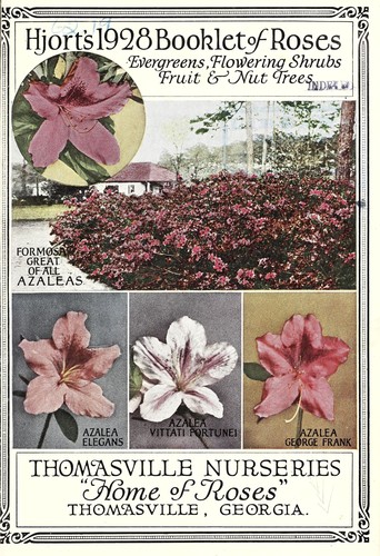 Hjort's 1928 booklet of roses, evergreens, flowering shrubs, fruit & nut trees