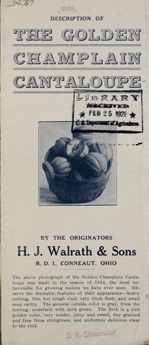 Description of the golden Champlain cantaloupe