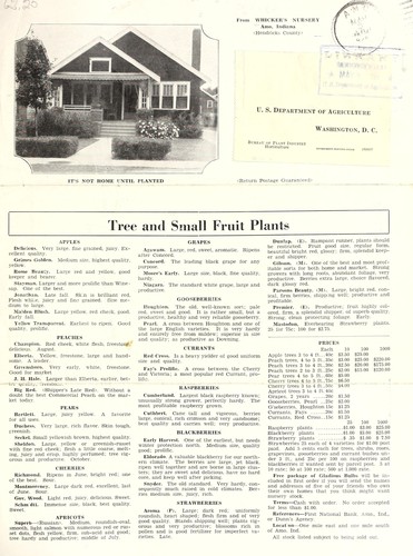 Tree and small fruit plants