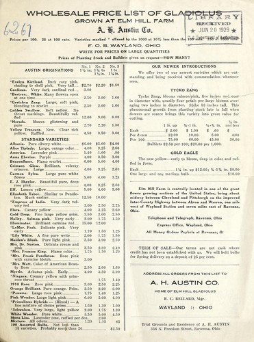 Wholesale price list of gladiolus grown at Elm Hill Farm