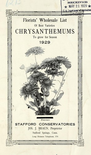 Chrysanthemums