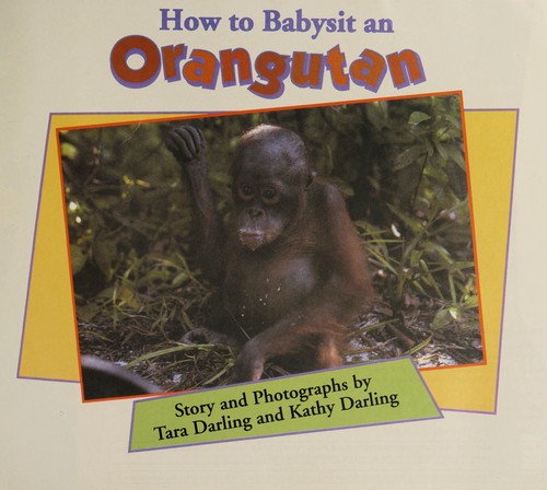 How to babysit an orangutan