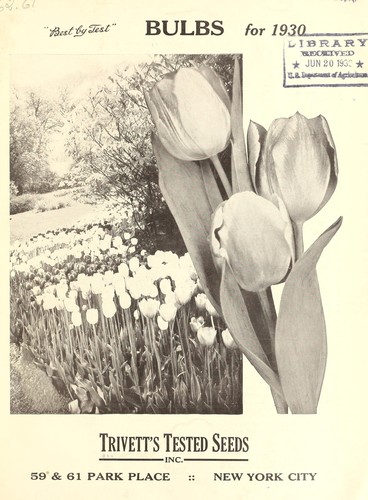 Bulbs for 1930 [catalog]