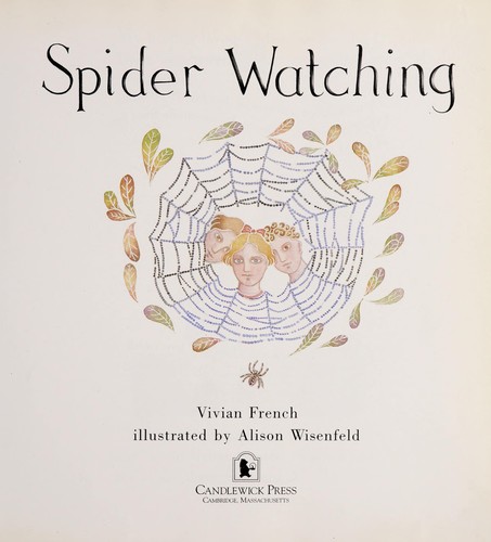 Spider watching