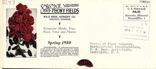 Evergreens, shrubs, trees, roses, vines and flowers